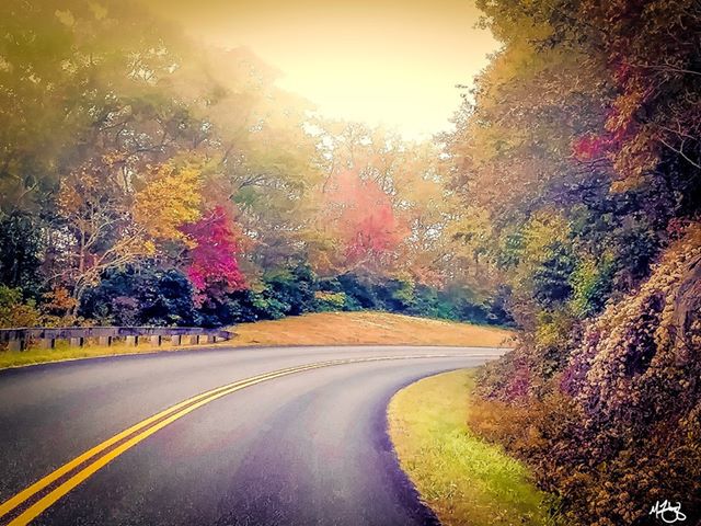 Winding fall road
